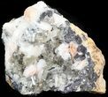 Cerussite Crystals with Bladed Barite on Galena- Morocco #44780-1